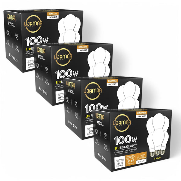 Bright Side Bundle (24 Bulbs)