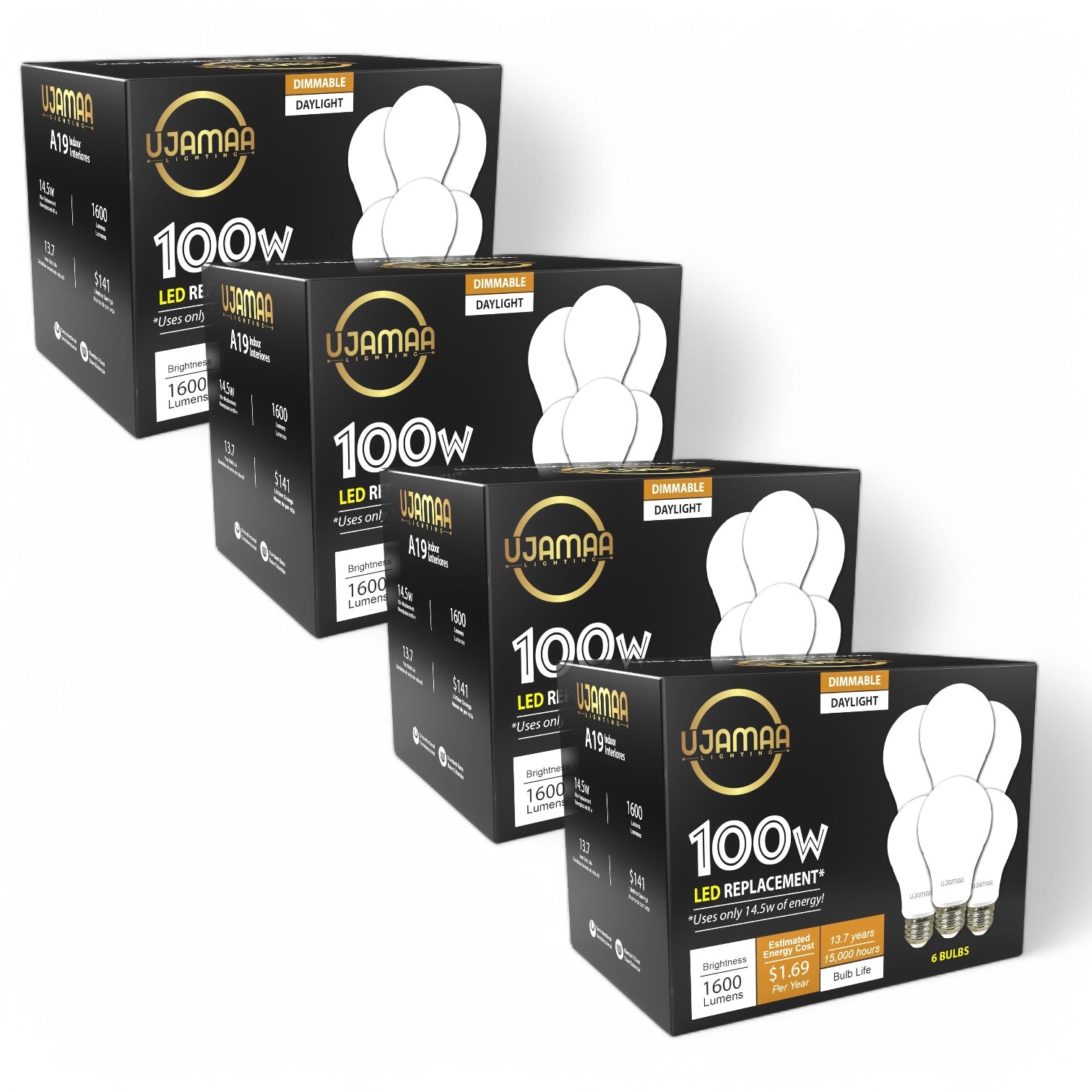 Bright Side Bundle (24 Bulbs)